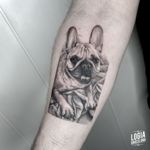 tatuaje_brazo_bulldog_logia_barcelona_paula_soria